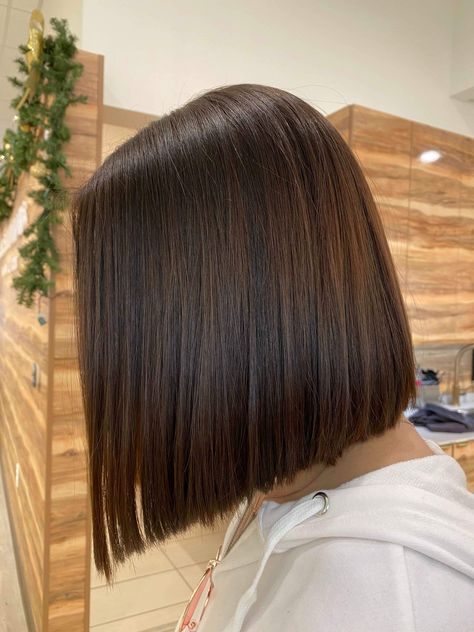 Chocolate brown bob Long Rich Brown Hair, Chocolate Brown Long Bob, Long Bob Chocolate Brown Hair, Bob Hairstyles Light Brown, Short Brown Hair With Dimension, Chocolate Brown Hair Bob, Brown Hair Bob Medium, Chocolate Short Hair, Chocolate Brown Hair Medium Length