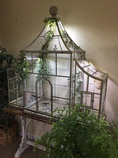 Birdcage Ideas Pet, Bird Cage Decoration, Cool Bird Cages, Cage Decoration Ideas, Cute Bird Cage, Bird In Cage, Vintage Bird Cages, Bird Cage In Garden, Budgie Enclosure