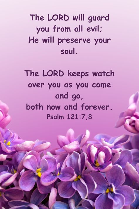 Scriptures For Blessings, See I Am Doing A New Thing Scripture, Bible Verses Quotes Inspirational Scriptures, Scripture Quotes Faith, Purple Bible, Encouraging Scripture Quotes, Biblical Quotes Inspirational, Bible Verses Kjv, Motivational Bible Verses