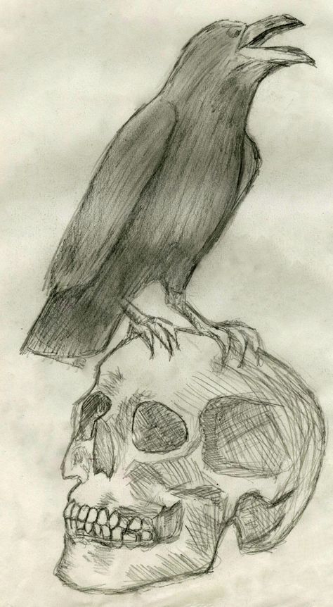 Drawing Skulls Sketches Easy, Crow On Skull Drawing, Skull Sketches Pencil, Scary Bird Drawing, How To Draw Crow, Drawings Of Crows, Six Of Crows Drawing, Gothic Drawings Easy, The Crow Drawing