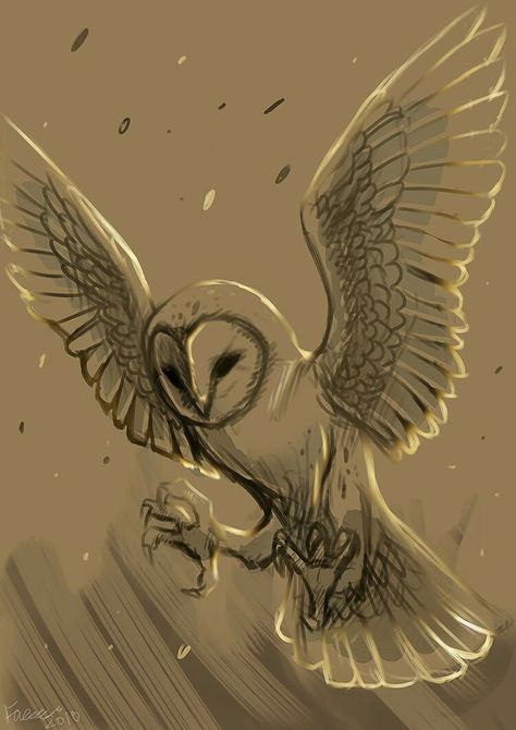 Barn Owl Drawing, Barn Owl Tattoo, Owl Tattoo Drawings, Owl Sketch, Fly Drawing, Vogel Tattoo, Animal Tattoo Ideas, Brown Owl, Owls Drawing