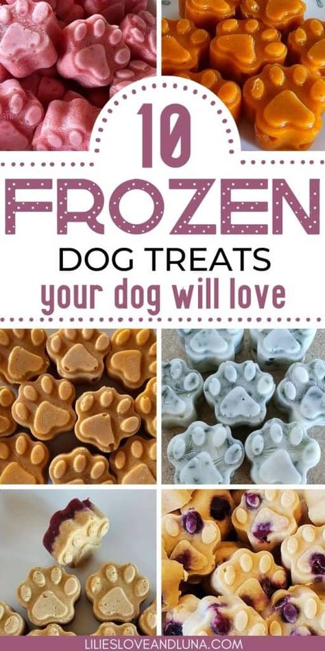 Frozen Dog Treat Molds, Homemade Dog Treat Business, Dog Enrichment Treats, How To Make Dog Treats, Homemade Dog Meals, Homemade Dog Treats Easy, Frozen Treats For Dogs, Homemade Frozen Dog Treats, Dog Enrichment Ideas