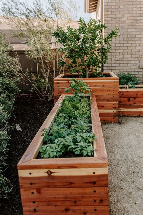 Veggie Planter Boxes, Deck Planter Boxes, Corner Landscaping, Turf Backyard, Deck Planters, College House, Garden Planter Boxes, Mediterranean Landscaping, Corner Garden