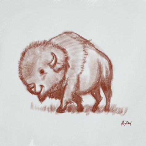 bison sketch, Okan Bülbül on ArtStation at https://www.artstation.com/artwork/rV6k5 Bison Illustration Cute, Cute Bison Drawing, Bison Sketch, Bison Cartoon, Bison Drawing, Bison Illustration, Zoo Poster, Bison Tattoo, Buffalo Tattoo