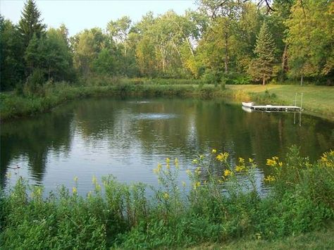 Pond design Farm Pond, Building A Pond, Natural Swimming Ponds, Fountains Backyard, Swimming Pond, Pond Landscaping, Backyard Water Feature, Natural Pond, Natural Swimming Pools