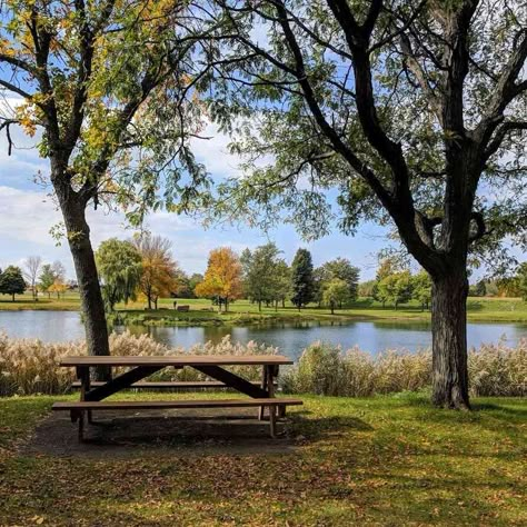 Perfect Picnic Spots Around Rochester https://daytrippingroc.com/picnic There are several picnic tables around each of the ponds in Webster's North Ponds Park. Picnic Bench Aesthetic, Picnic Spot Aesthetic, Picnic At Park, Painting In The Park, Picknick Table, Park Picnic Table, Park With Pond, Picnic Place, Lake Picnic