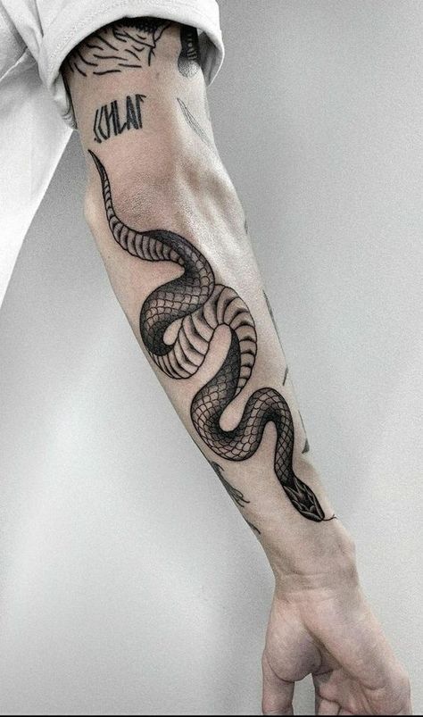 A Snake Tattoo, Best Tattoo Ideas For Men, Tricep Tattoos, Tattoo Snake, The Trend Spotter, Serpent Tattoo, Snake Tattoo Design, Best Tattoo Ideas, Tattoo Ideas For Men