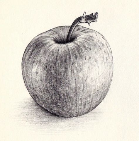 Easy Still Life Drawing, Apple Sketch, Opt Art, Fruit Art Drawings, Vegetable Painting, Pencil Drawings Of Animals, Fruits Drawing, Object Drawing, Still Life Drawing