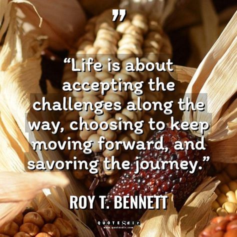 “Life is about accepting the challenges along the way, choosing to keep moving forward, and savoring the journey.”... Roy T. Bennett #motivational #motivationalquotes #quotes #RoyT.Bennett #pinterestinspiration #morningquotes #positivevibes #pinterestquotes Challenges Quotes, Challenge Quotes, Happiness Is A Choice, Choose Wisely, Keep Moving Forward, Keep Moving, Quotes Life, Feeling Loved, Moving Forward