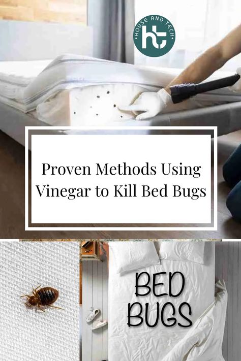 How to get rid of bed bugs How To Prevent Bed Bugs, Bed Bugs How To Get Rid Of Diy, Homemade Bed Bug Spray, Bedbugs Get Rid Of, Essential Oils For Bed Bugs, Getting Rid Of Bed Bugs Fast, How To Kill Bed Bugs, Diy Bed Bug Spray, How To Get Rid Of Bed Bugs Fast Diy