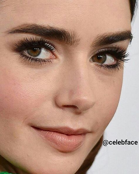 Great brow grooming Lily Collins Eyebrows, Lily Collins Makeup, Lily Jane Collins, ليلي كولينز, Lily Collins Hair, Lily Collins Style, Straight Brows, Red Carpet Makeup, Bushy Eyebrows