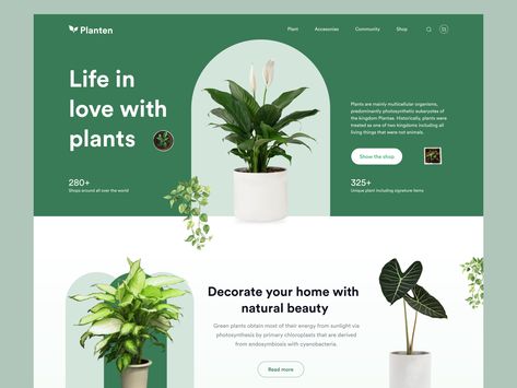 Plant Layout Design, Plant Nursery Website Design, Plant Website Design, Plant Website, Plant Web Design, Minimalist Website Design, Plant Shop Website, Gardening Website Design, Plant Website Design Landing Page