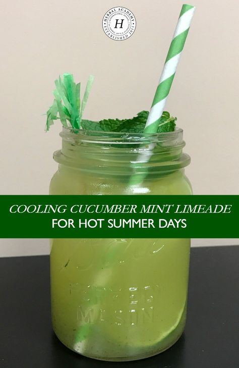 Cava Cucumber Mint Lime Drink, Copycat Cava Cucumber Mint Drink, Cava Cucumber Mint Drink, Cucumber Limeade Recipe, Aqua Frescas, Mint Limeade Recipe, Cucumber Limeade, Mint Limeade, Cucumber Drink