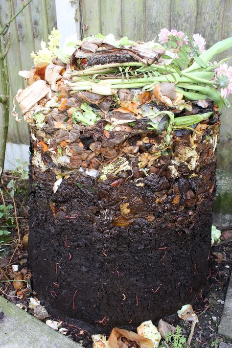 Start A Compost Bin, Composting For Beginners, How To Start Composting, Start Composting, Composting 101, Diy Compost, Composting At Home, Dream Farm, Compost Tea