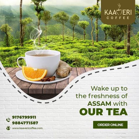 Tea Poster Design Ideas, Tea Poster Design, South Indian Filter Coffee, Coffee Bean Shop, Company Profile Design Templates, Tea Poster, Assam Tea, Tea Packaging Design, Coffee Varieties