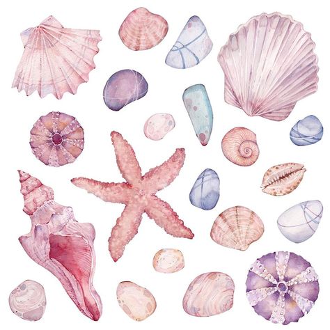 Watercolor sea shells and pebbles Sea Shells Drawing Watercolor Print, Sea Shells Watercolor, Painted Sea Shells, Watercolor Shells, Shell Drawing, Scrapbook Letters, Watercolour Ideas, Seashells Patterns, Iphone Ideas