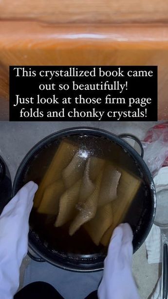 How To Crystallize A Book, Borax Crystal Book Diy, Diy Crystalized Book, How To Crystallize Books, Crystallized Book Diy, Borax Book, Borax Crystals Diy Halloween, Crystalized Books Diy, Diy Borax Crystals