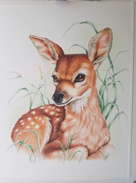 Color Pencil Animals, Pencil Color Drawing Animals, Realistic Animal Drawings Colour, Deer Drawing Color, Deer Colored Pencil Drawing, Teamwork Poster, Colored Pencil Artwork Ideas, Woodless Colored Pencils, Animal Canvas Paintings