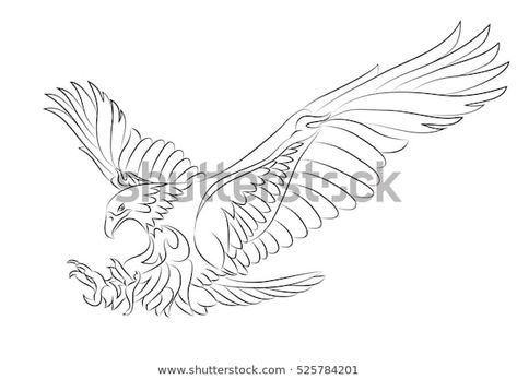 Eagle Drawings, Dallas Cowboys Tattoo, Cowboy Tattoos, Eagle Drawing, Sea Eagle, Eagle Tattoo, Tattoo Stencil Outline, Tattoo Illustration, Symbolic Tattoos