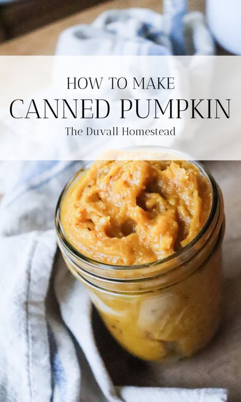 Canning Pumpkin Puree, Pumpkin For Pie, Make Pumpkin Puree, Pumpkin Chili Recipe, Pumpkin Puree Recipes, Frozen Pumpkin, Leftover Pumpkin, Fresh Pumpkin, Pumpkin Cake Recipes