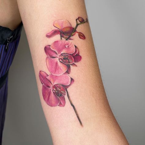 #realism #pink #tattoo #tattooartist #inked #inkedmag #tattooideas #tattooart #aesthetic #tiktok #colortattoo #microtattoo #orchid #orchidtattoo #flowertattoo Orchid Tattoo Ideas, Orchid Tattoo Design, Purple Orchid Tattoo, Cupcake Tattoo Designs, Orchid Tattoo Meaning, Orchid Flower Tattoos, Cupcake Tattoos, Tattoo Removal Cost, Evil Eye Tattoo