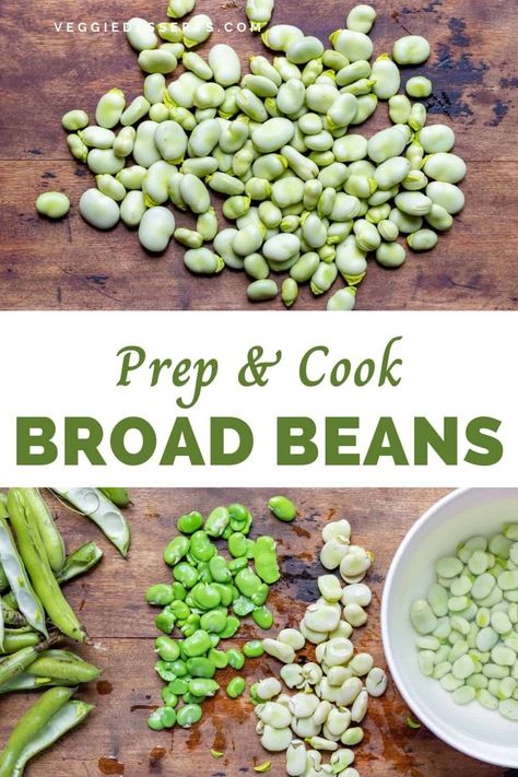 This is my Broad Bean 101! Broad beans, also known as fava beans, are a type of large edible bean. Read on to learn how to prep and cook them, plus recipes and info. Broad Bean Recipes, Broad Beans, Vegan Stew, Broad Bean, Fava Beans, Risotto Recipes, Cooking Prep, Stir Fries, Bean Recipes