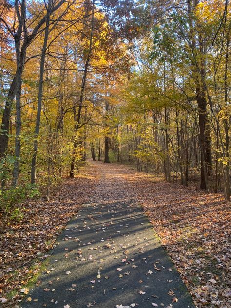 Afternoon walk Days Out Aesthetic, Walk Aethestic, Walking Aethstetic, Walk In Nature Aesthetic, Walking Astethic, Walk Astethic, Mid Day Aesthetic, Walking Asethic, Daily Walks Aesthetic