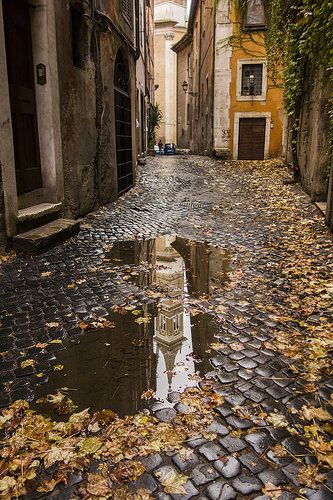 Autumn In Rome ♠ | Flickr - Photo Sharing! Leaves On The Ground, Rome Photo, Autumn Rain, Reflection Photography, Fallen Leaves, 수채화 그림, Best Seasons, Autumn Cozy, Foto Inspiration