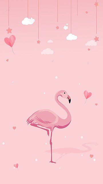 Pink Flamingo Wallpaper Iphone, Flamingo Background Wallpapers, Flamingo Wallpaper Iphone, Cartoon Phone Wallpaper, Flamingo Template, Flamingo Aesthetic, Simple Phone Wallpaper, Flamingo Background, Phone Wallpaper Template