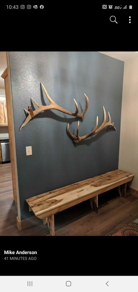 Elk Antler Wall Decor Ideas, Elk Over Fireplace Living Rooms, Elk Shed Antler Display Ideas, Antler On Wall Decor, Elk Decor Rustic Living Rooms, Hunting Room Design Ideas, House Decor With Deer Mounts, Elk Rack Mount, Antler Mantle Decor