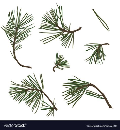 Pine Needle Drawing, Pine Tree Branch Drawing, Pine Branch Drawing, Decorative Mending, Pine Illustration, Pine Tree Illustration, Pine Tree Branch, Branch Drawing, Leaf Tattoo