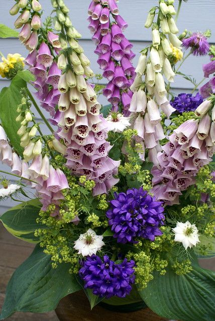 Pretty Wedding Flowers, Wedding Flowers Inspiration, Wedding Flower Decor, Wedding Floral Decor, White Calla Lilies, Buttonhole Flowers, Garden Interior, Church Flowers, Fall Wedding Flowers