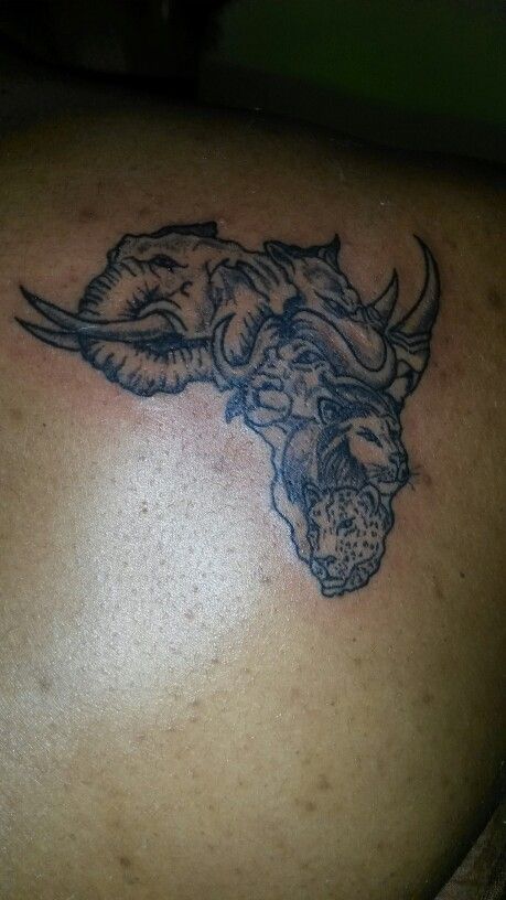 The big five in Africa Big Five Tattoo, Five Tattoo, The Big Five, Tattoo Ideas, Tattoos, Quick Saves