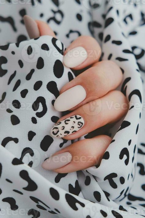 A woman's hand with a beautiful manicure holds a fabric with a leopard print. Autumn trend, beige color polishing with leopard pattern on nails with gel polish, shellac. Autumn Leopard Print Nails, Leopard Nail Art Designs, Normal Nails, Nails With Gel Polish, Leopard Print Nail Art, Nails With Gel, Leopard Print Nail, Leopard Nail Designs, Autumn Manicure