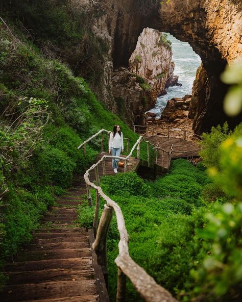 A magical spot you cannot miss when visiting Knysna 🌊🌞 Yup, we’re back visiting one of our favourite places in South Africa 🇿🇦🤍 Have you ever visited Knysna and sat on Coney Glen beach wondering what those two caves across the sea is? 🤔 -That’s the “nostril caves” that you can only access when booking a tour with @featherbed_co ⛴️ We booked a tour this week to visit the Featherbed Nature Reserve for the first time and here’s what it was like: 🌊 The tour starts every day at 11:30 departing... Knysna South Africa, Knysna, South Africa Travel, Africa Travel, Nature Reserve, Travel Couple, Have You Ever, Instagram A, South Africa