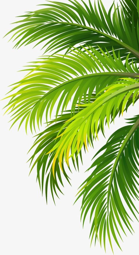 coco,coconut,trees,leaves,green,Leaves clipart,leaves clipart Coconut Tree Design, Palm Tree Sticker, Tropic Thunder, Mandala Drawings, Grass Tree, Coconut Leaves, Palm Trees Painting, Palm Tree Art, Png Flower