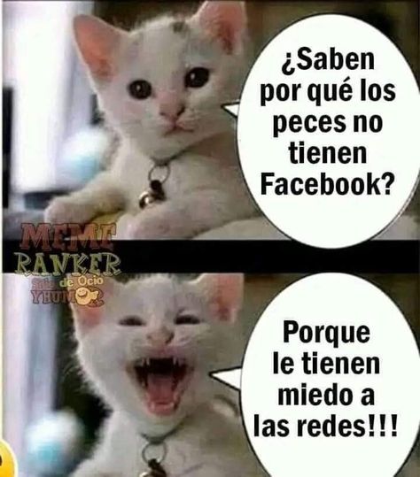 Funny Spanish Jokes, Spanish Jokes, Funny Spanish Memes, Slayer Meme, Puns Jokes, Spanish Humor, Spanish Memes, Funny Animal Jokes, Bad Jokes