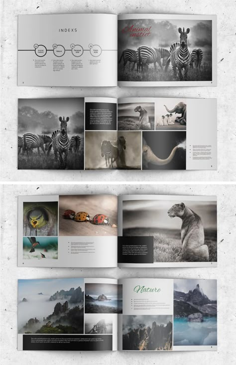 Photography Album Template InDesign INDD Travel Photo Book Layout, Picture Album Design, Photo Album Design Template, Picture Layout Design, Photo Book Layout Ideas, Photobook Layout Design, Photobook Cover Design, Photography Layout Design, Photo Book Cover Design