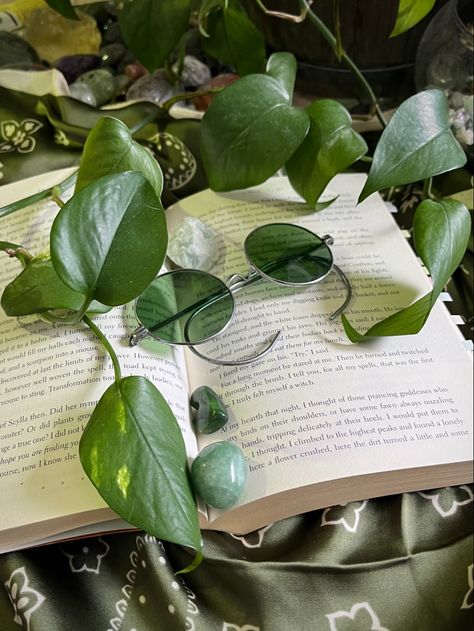 green mood / plants / john lennon glasses / book aesthetic / crystals Green Nerd Aesthetic, Green Stuff Aesthetic, Notion Green Aesthetic, Green Books Aesthetic, Sp Pfps, Lennon Glasses, John Lennon Glasses, Writing Nook, Notion Board