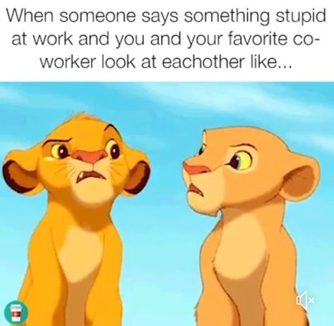 Co Worker Memes, Work Sarcasm, Work Humour, Sarcasm Meme, Coworker Quotes, Funny Work Memes, Coworker Humor, Work Funnies, Job Humor