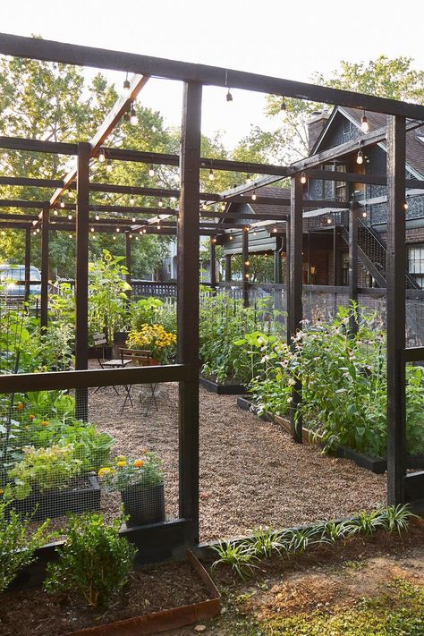 Beginner Vegetable Garden, Garden Outdoor Seating, Deer Fencing, Goddess Garden, Birds Cage, Berry Garden, Edible Gardens, Vegetable Garden Tips, Backyard Garden Layout