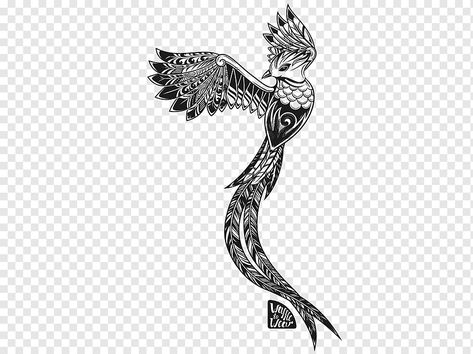 Quetzal Drawing, Guatemalan Tattoo, Quetzal Tattoo, Aztec Tattoo, Drawing Tattoo, Creative Tattoos, Flower Tattoos, Black Tattoos, Image Types