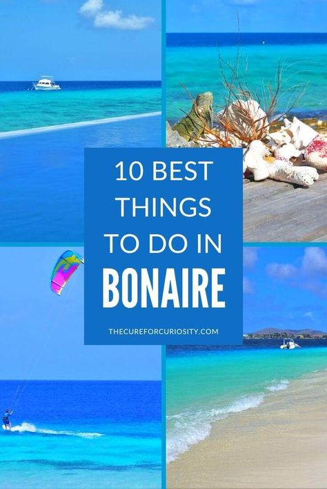 10 Best Things to Do in Bonaire - Beyond Just Scuba Diving Bonaire Things To Do, Dive Resort, Caribbean Island, Caribbean Travel, Caribbean Cruise, Island Travel, Island Vacation, Caribbean Islands, Aruba