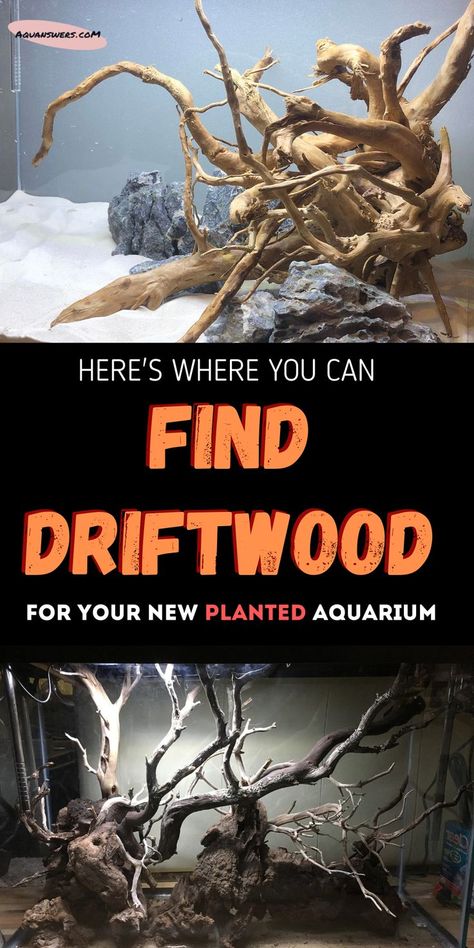 Do you want to bring nature to your home? In this article you'll learn where to find beautiful driftwood pieces for your house decor or aquarium. Aquascaping Ideas, Freshwater Plants, Fish Tank Stand, Saltwater Fish Tanks, Aquascape Design, Aquarium Driftwood, Reptile Tank, Aquarium Setup, Aquarium Landscape