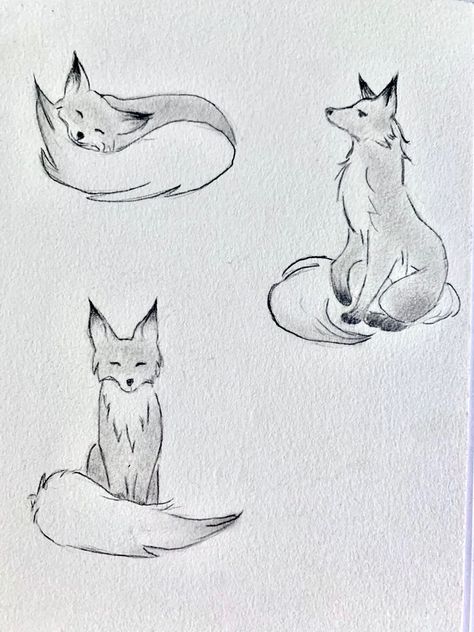 Fox And Duck Drawing, Fox Tutorial Drawing, Forest Animal Sketches, How To Draw Fox Ears, Fox Anatomy Drawing, Fox Tail Drawing, Lemur Sketch, Fox Cute Drawing, Fox Drawing Tattoo