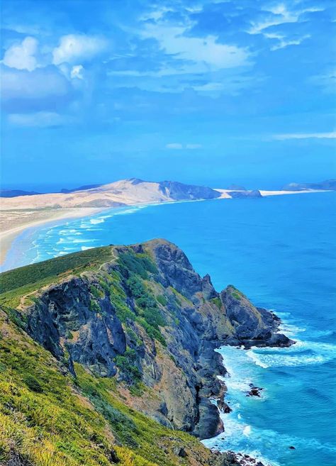 Cape Reinga, New Zealand Cape Reinga, Exotic Fruit, New Zealand, Cape, Places To Visit, Water, Art