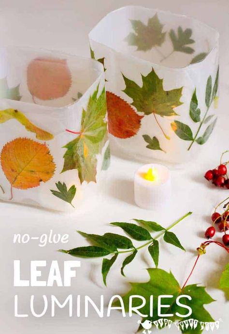 Leaf Luminaries, Cheap Fall Crafts For Kids, Luminary Diy, Lantern Crafts, Diy Leaf, Autumn Leaves Craft, Leaf Projects, Lantern Craft, Kids Craft Room