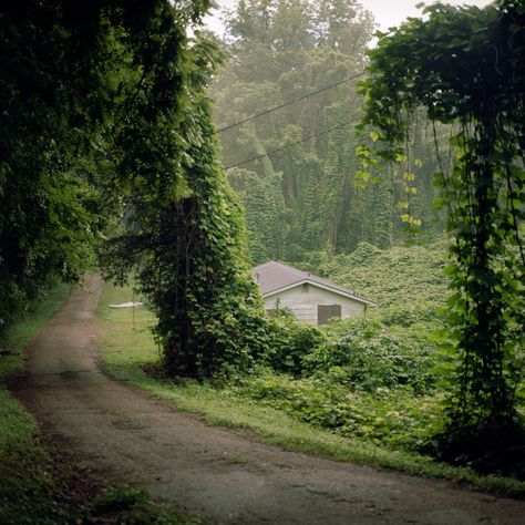 Southern Gothic Aesthetic, American Gothic, Southern Gothic, Gothic Aesthetic, West Virginia, Small Towns, Mother Nature, Beautiful Places, The Globe