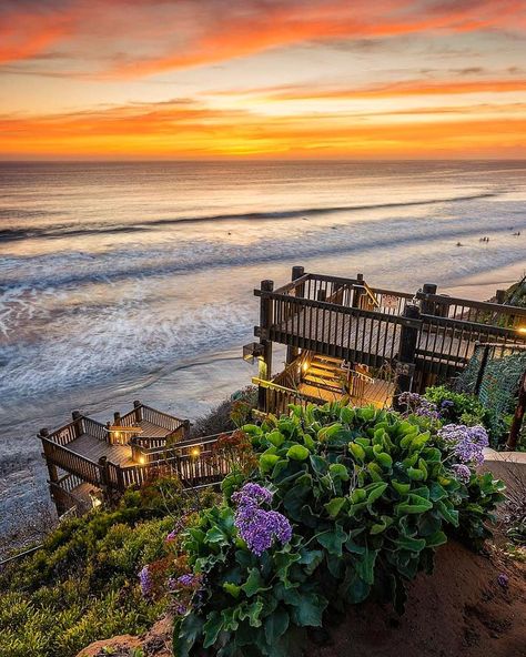 Visit Encinitas on Instagram: “What's more beautiful, the beach or the path down? Encinitas, California “D” 📸 by @marcel_fuentes • • • • • •⠀⠀⠀⠀⠀⠀⠀⠀⠀ #moonlightbeach…” Cafe Mural, Encinitas California, Summer Feeling, 2024 Vision, Travel Ideas, Dream Home, Places To Travel, Beach House, San Diego