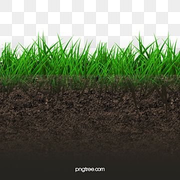 Grass Background, Background Png, Soil, Herbs, Photoshop, Plants